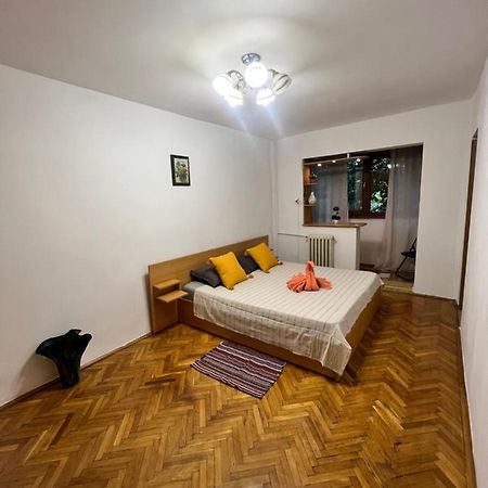 Miha Modern And Central Apartament Malul Muresului 阿拉德 外观 照片