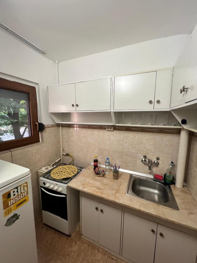 Miha Modern And Central Apartament Malul Muresului 阿拉德 外观 照片