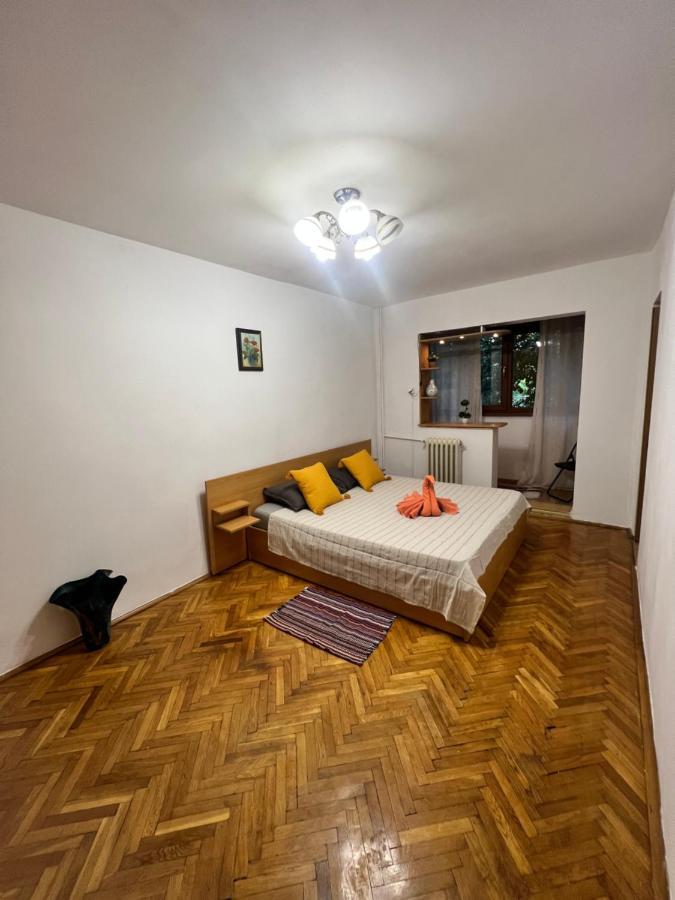 Miha Modern And Central Apartament Malul Muresului 阿拉德 外观 照片