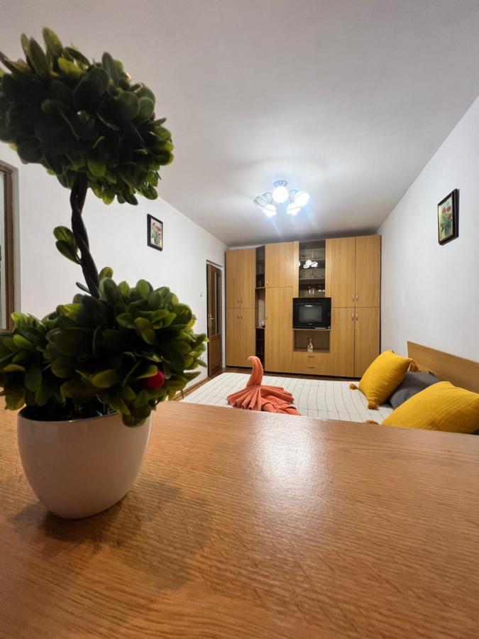 Miha Modern And Central Apartament Malul Muresului 阿拉德 外观 照片