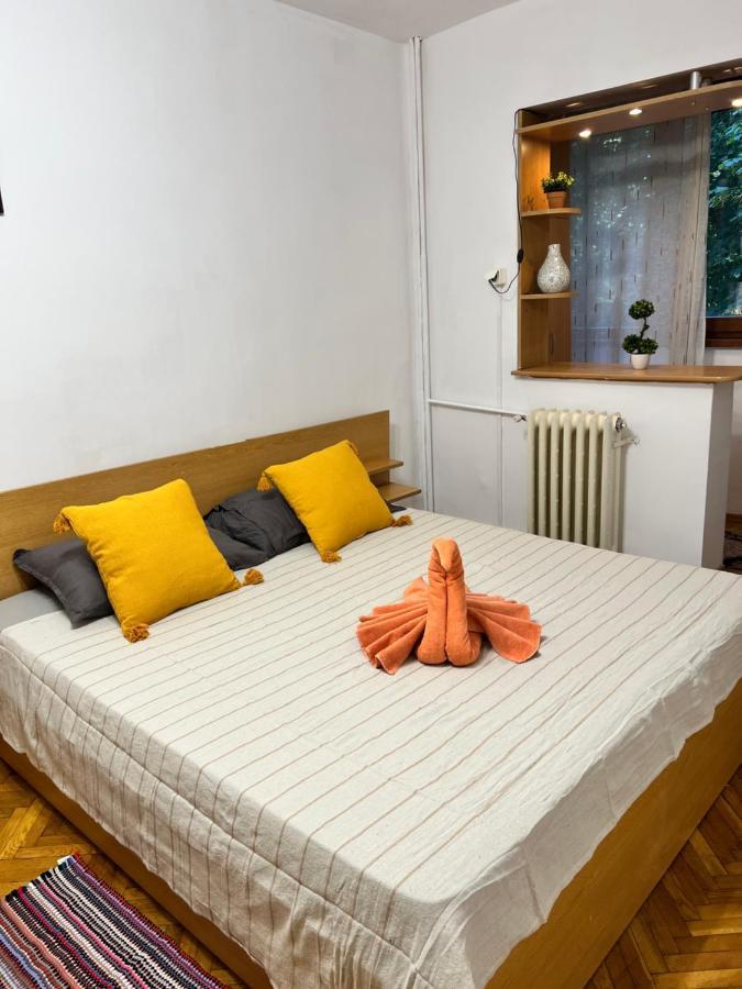 Miha Modern And Central Apartament Malul Muresului 阿拉德 外观 照片