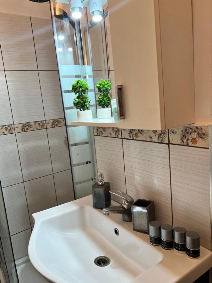 Miha Modern And Central Apartament Malul Muresului 阿拉德 外观 照片
